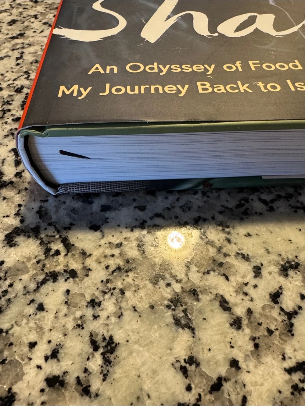 Shaya - An Odyssey of Food